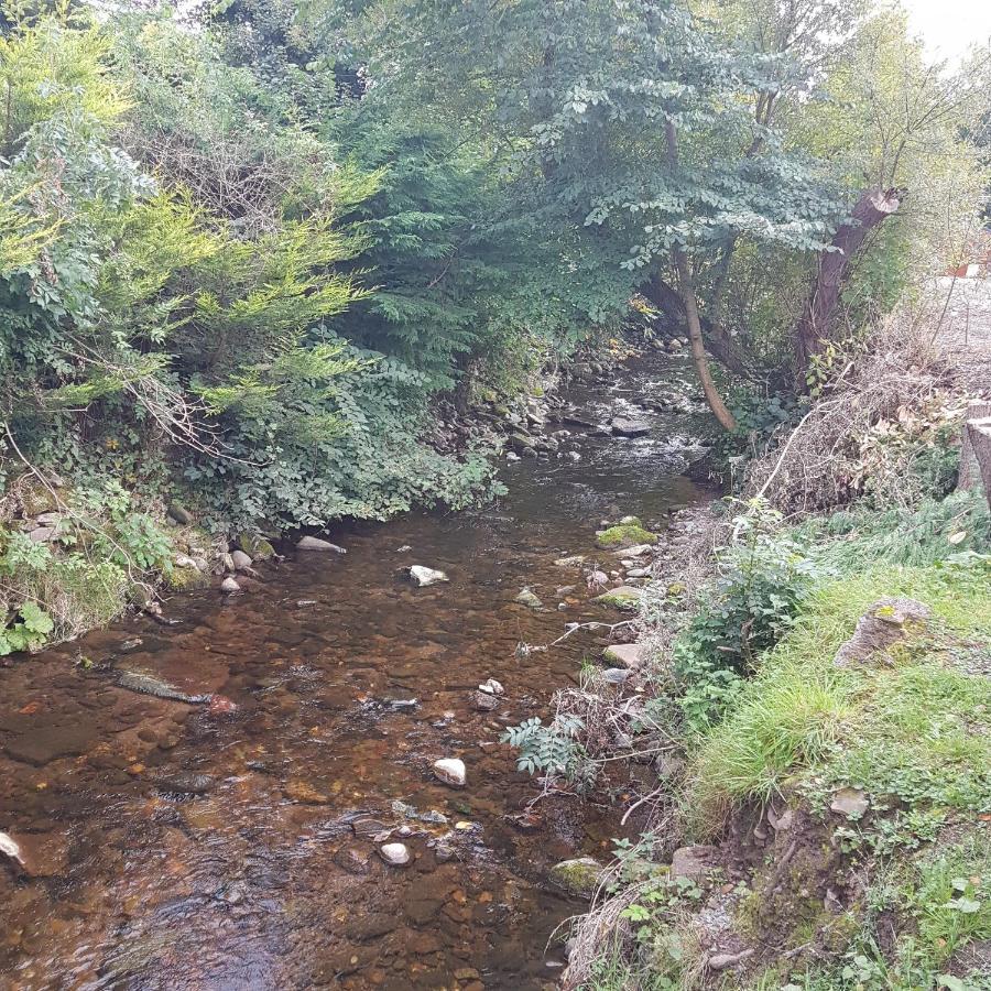 Bear Lodge Auchterarder Dış mekan fotoğraf